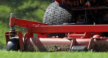 What to Expect from a Reputable Lawn Care Company
